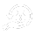 Daily Return